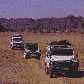 Safari Drive, Land Rover Hire in Africa